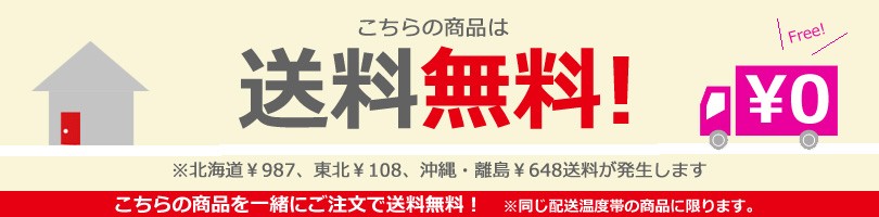 送料無料