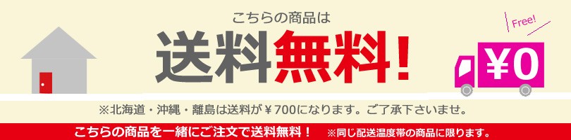 送料無料