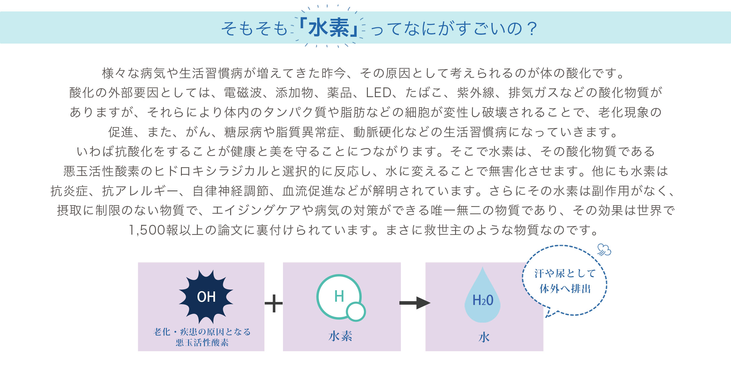 Hydro-Mineral (ハイドロミネラル) 毎日水素 90カプセル 水素