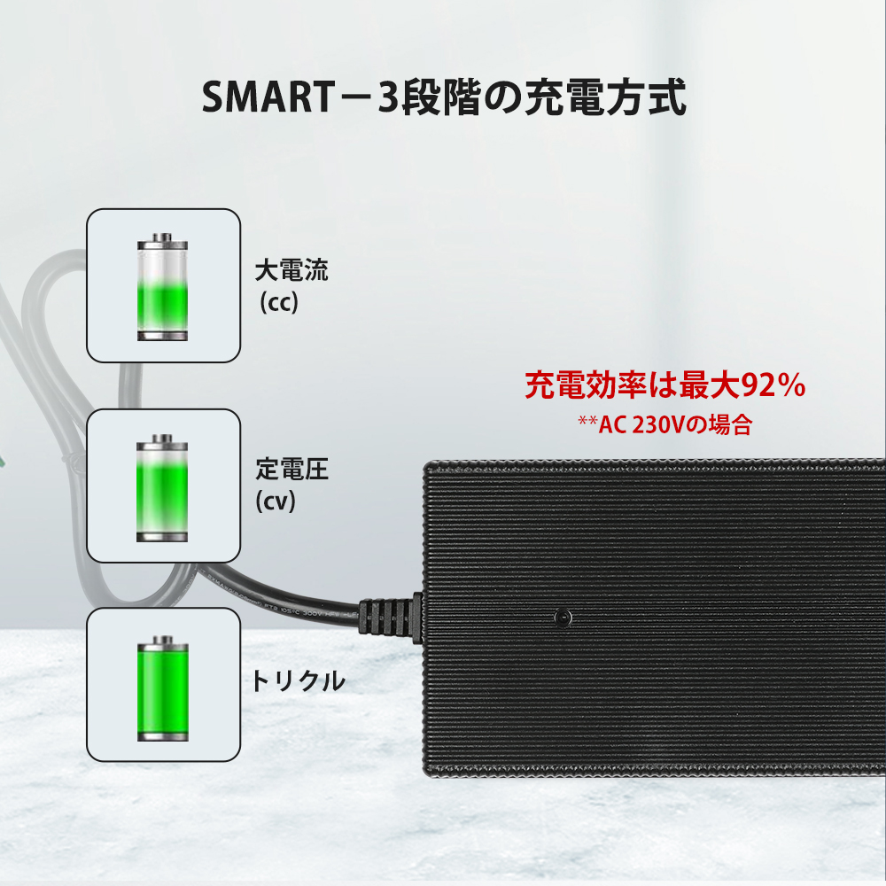 RENOGY 30A DC-DC バッテリーチャージャー imgrc0078698633.jpg