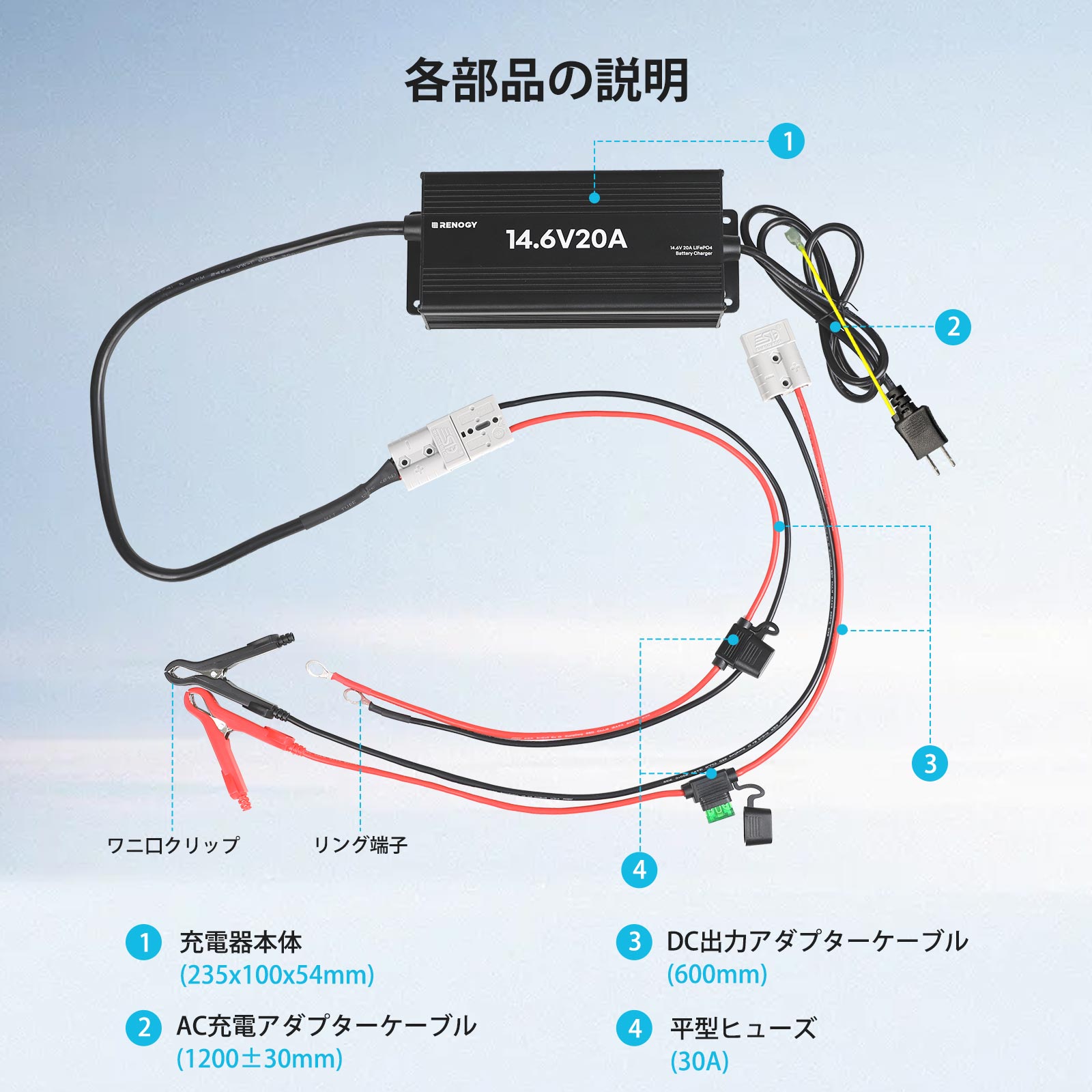 RENOGY（レノジー） RENOGY 12V 20A バッテリー充電器 リン酸鉄