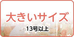 大きいサイズ色留袖