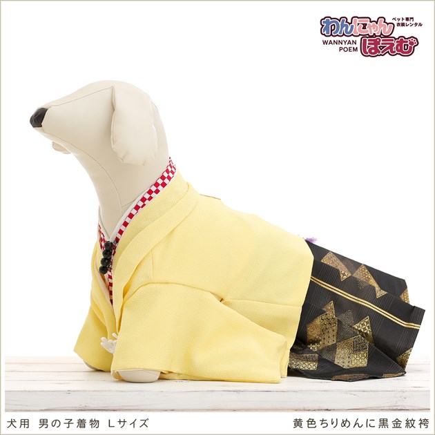 犬の着物レンタル 中型犬 男の子 dl-008 ペット衣装 往復送料無料 高級