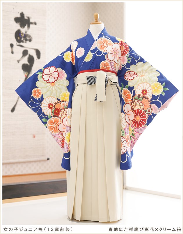 小学生袴✨️一度使用✨️美品✨️定価29999円 小学校卒業式 袴レンタル 小学生 女の子 h0754 フルセット ジュニア