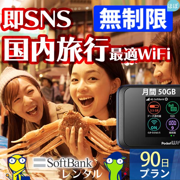 ポケットwifi wifi レンタル レンタルwifi wi-fiレンタル ポケットwi-fi 3ヶ月 90日 softbank ソフトバンク 大容量 モバイルwi-fi ワイファイ ルーター 501hw