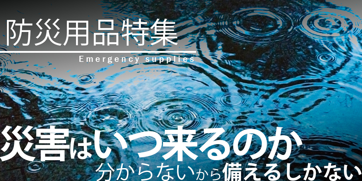 次へ