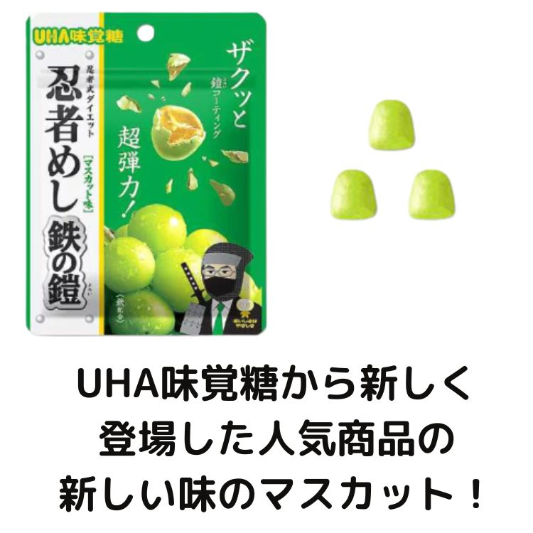 忍者めし 鉄の鎧 マスカット味 40g 3袋セット UHA うまく 味覚糖 忍者めし 鉄の鎧 マスカット味 40g 3袋セット UHA うまく 味覚糖
