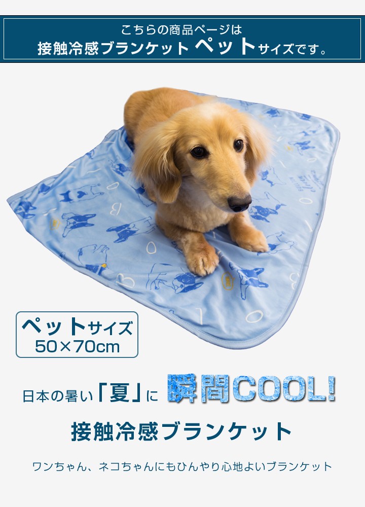 ひんやり ブランケット ペット サイズ 50×70 接触冷感 : 寝具