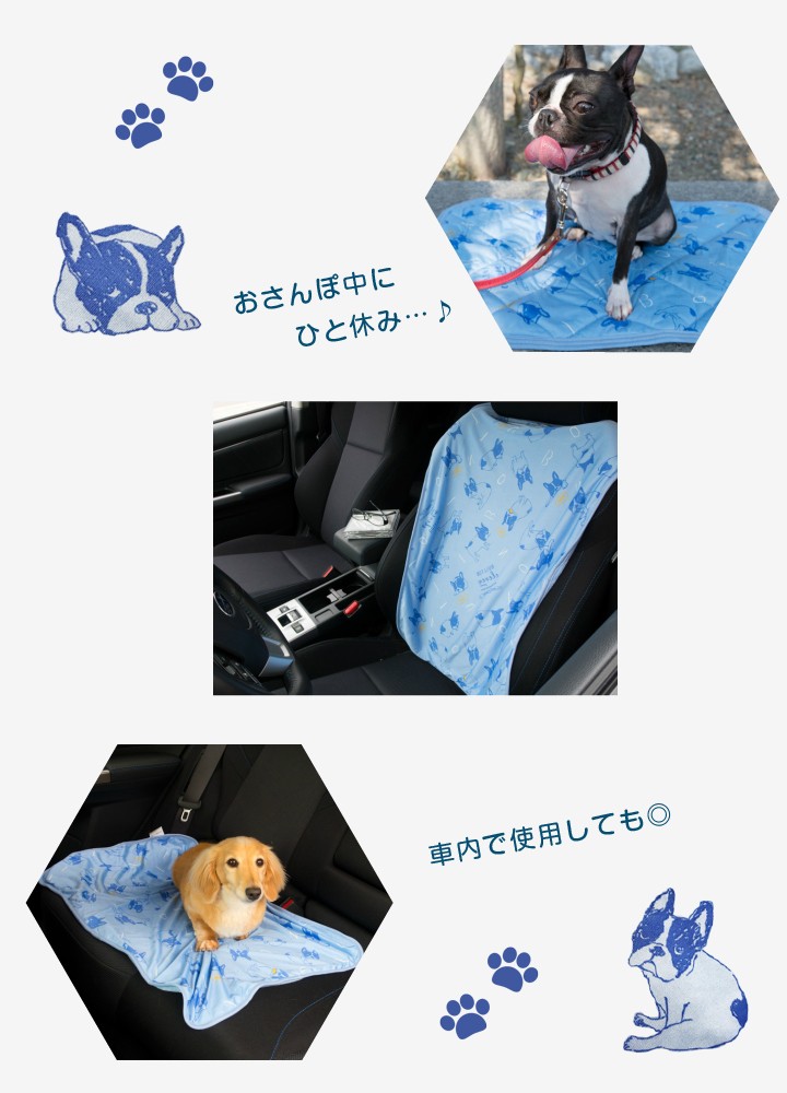 カントク　冷感ブランケット　特典しずく Amazon.co.jp: カントク 冷感ブランケット特典しずく KUOR