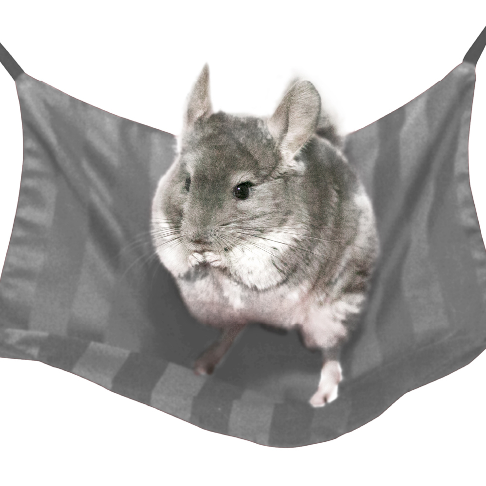 ペットベッド ハンモック 小動物 チンチラ デグー ハムスター ペット 洗える Pt8001 寝具 インテリアのレオワイド 通販 Yahoo ショッピング ペットベッド ハンモック 小動物 チンチラ デグー ハムスター ペット 洗える Pt8001 寝具 インテリアのレオワイド 通販 Yahoo ショッピング