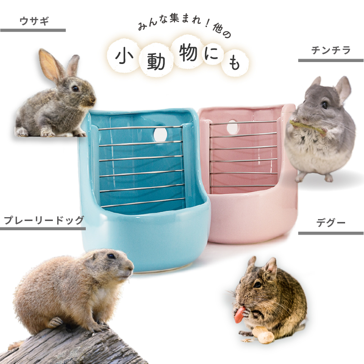 陶器 コーナー用 チモシーポッド 小動物用 金網付き 洗える エサ