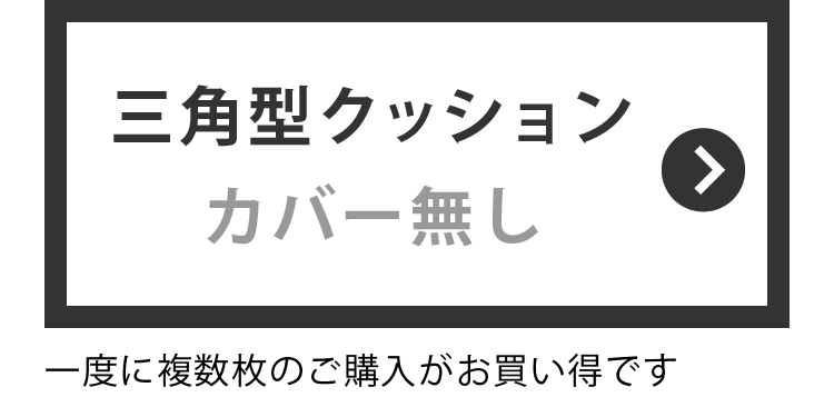 カバー無し
