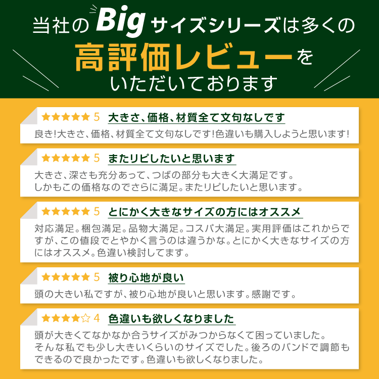 レビュー