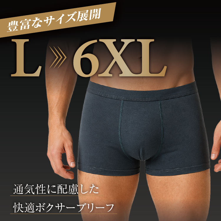 メンズ ボクサーパンツ 3色セット L〜6XL 大きいサイズ ボクサー