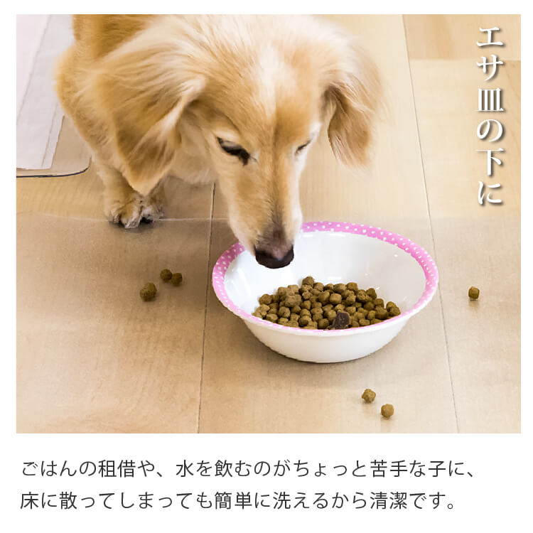エサ皿の下
