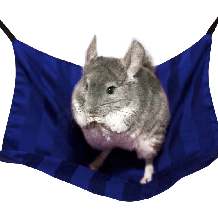 ちぃハンモック 小動物用 洗える 日本製 綿100％ 金具付き チンチラ 