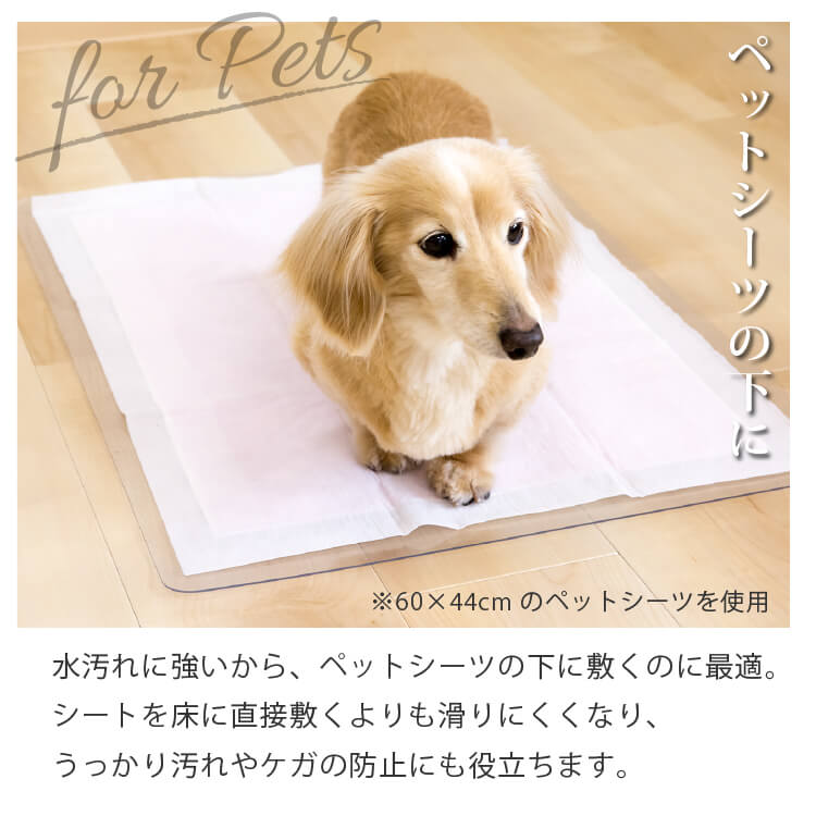 トイレシートの下