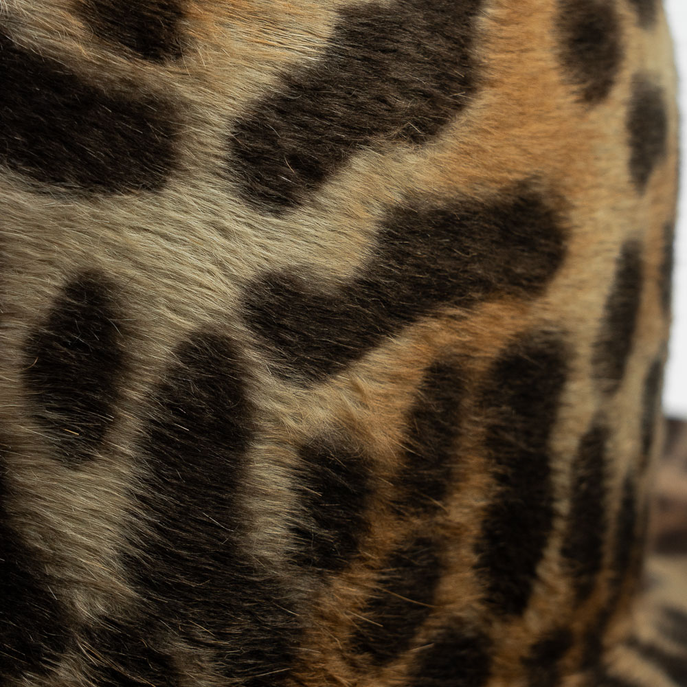 SKILLED WORKERS スキルドワーカーズ ラビットファー フェルト ヴィンテージ 丸天 ハイクラウン つば広 中折れハット レガリオン メンズ 秋冬  SW-20251219_1 |  | 11