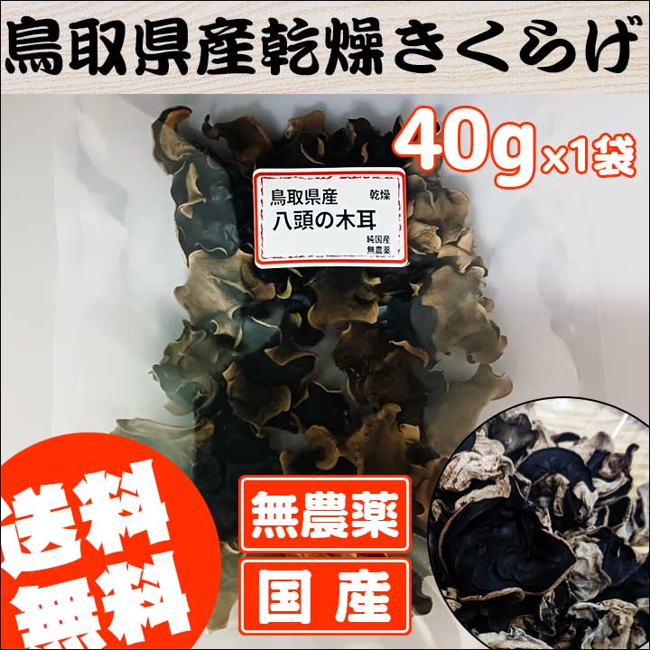送料無料】40g 乾燥きくらげ 国産 鳥取県産 八頭の木耳 きのこ