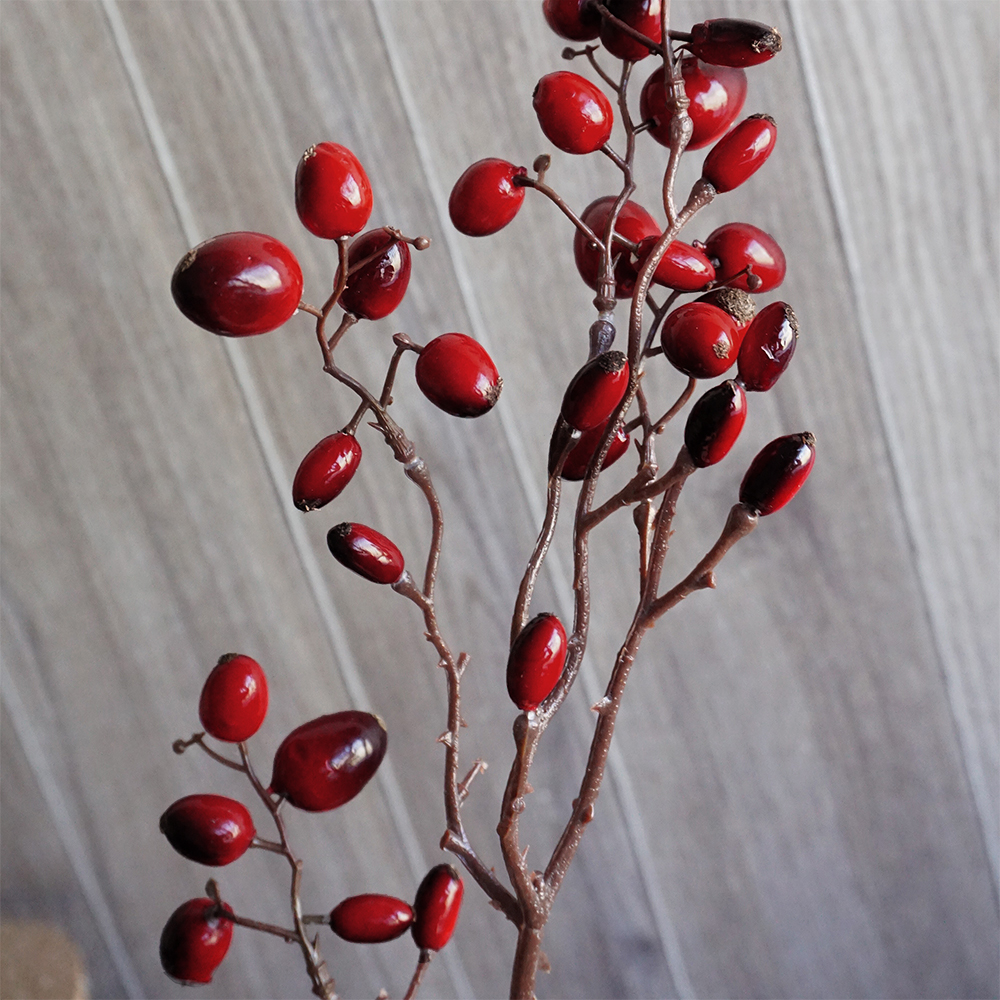 枝付きローズヒップ10本 a-47968_3.jpg