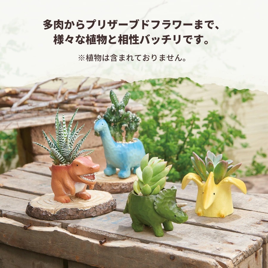 ミニ 植木鉢 リトルリレジンポット 恐竜シリーズ 1個 穴なし 1号ポット用鉢カバー 1寸用 かわいい おしゃれ 屋外 屋内 ガーデニング 雑貨  小物入れ : dino : リポーズジョイ - 通販 - Yahoo!ショッピング