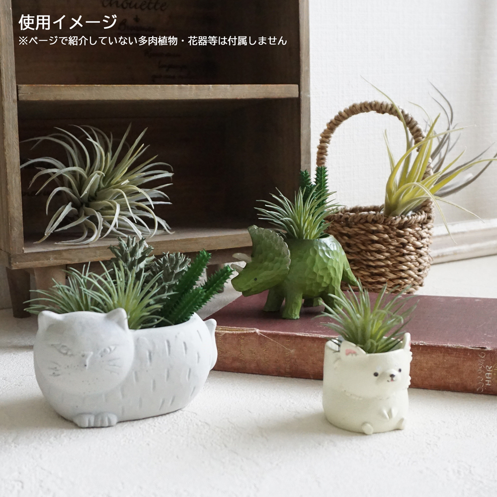 さぼてん　フェイクグリーン サボテン 4点セット さぼてん フェイクグリーン サボテン 4点セット サボテン カクタス