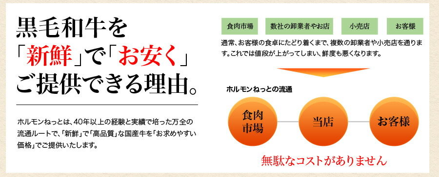 ホルモン もつ 焼肉 BBQ 鍋 宮崎県産 黒毛和牛 国産 大とろ 小腸 100g×3パック 計300g もつ煮 もつ鍋 とろもつ トロもつ 【小300】 | 宮崎牛 | 10
