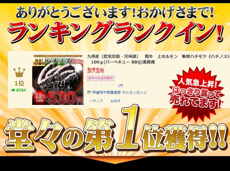 ハチノス 肉 ホルモン A5 宮崎県産 黒毛和牛 ハチモツ ハチノス 100ｇ