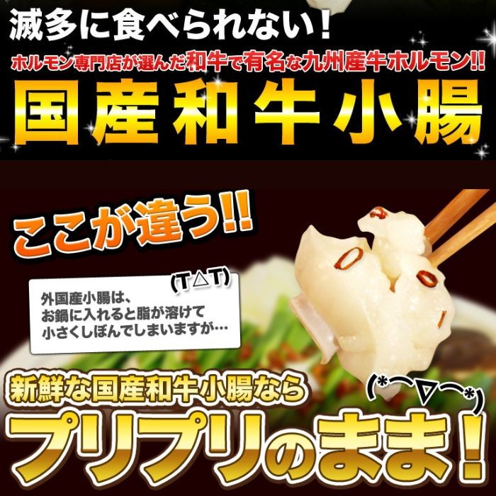 ホルモン もつ 焼肉 BBQ 鍋 宮崎県産 黒毛和牛 国産 大とろ 小腸 100g×3パック 計300g もつ煮 もつ鍋 とろもつ トロもつ 【小300】 | 宮崎牛 | 03