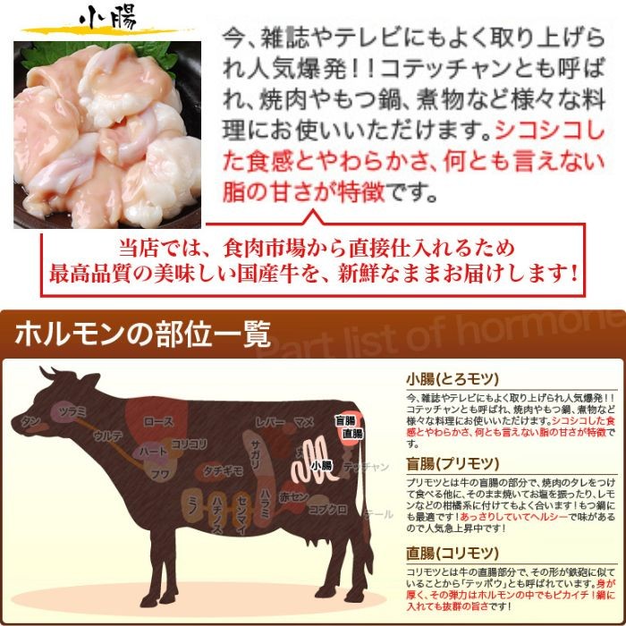 ホルモン もつ 焼肉 BBQ 鍋 宮崎県産 黒毛和牛 国産 大とろ 小腸 100g×3パック 計300g もつ煮 もつ鍋 とろもつ トロもつ 【小300】 | 宮崎牛 | 06