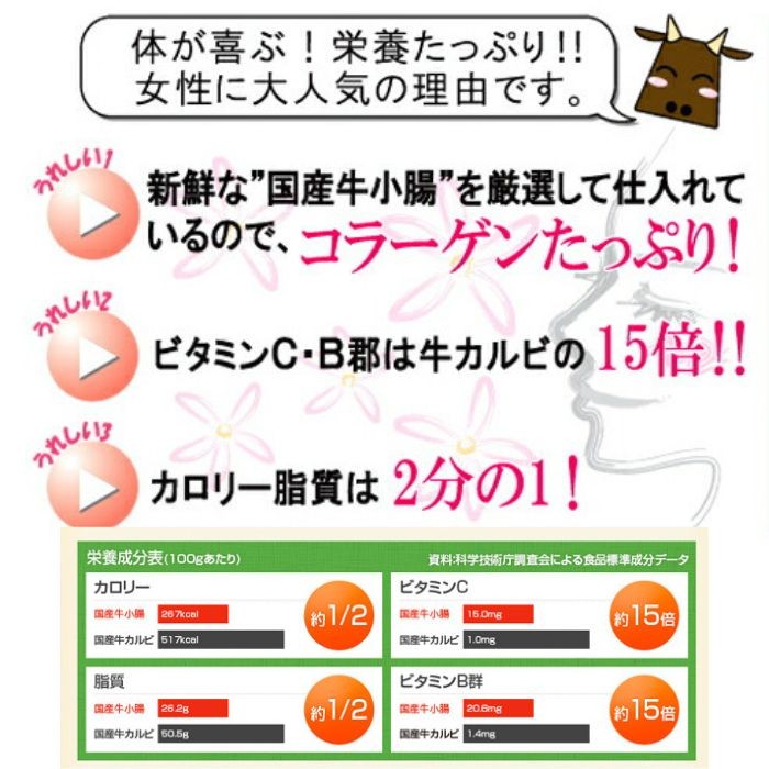 ホルモン もつ 焼肉 BBQ 鍋 宮崎県産 黒毛和牛 国産 大とろ 小腸 100g×3パック 計300g もつ煮 もつ鍋 とろもつ トロもつ 【小300】 | 宮崎牛 | 07