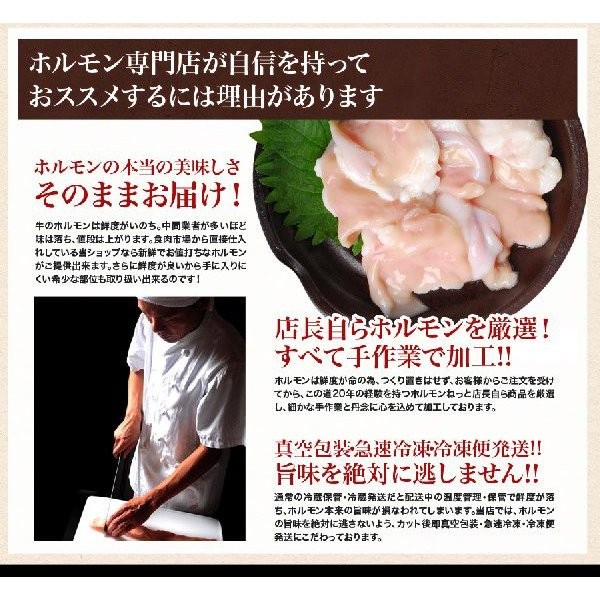 ホルモン もつ 焼肉 BBQ 鍋 宮崎県産 黒毛和牛 国産 大とろ 小腸 100g×3パック 計300g もつ煮 もつ鍋 とろもつ トロもつ 【小300】 | 宮崎牛 | 09