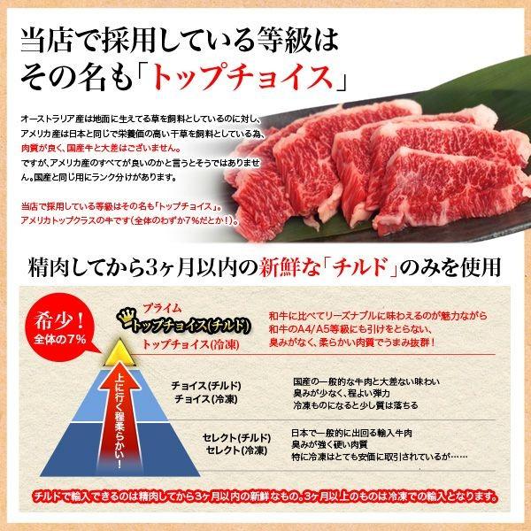 ハラミ 肉 BBQ セット 牛ハラミ サガリ肉厚串 10本 1本100g 米