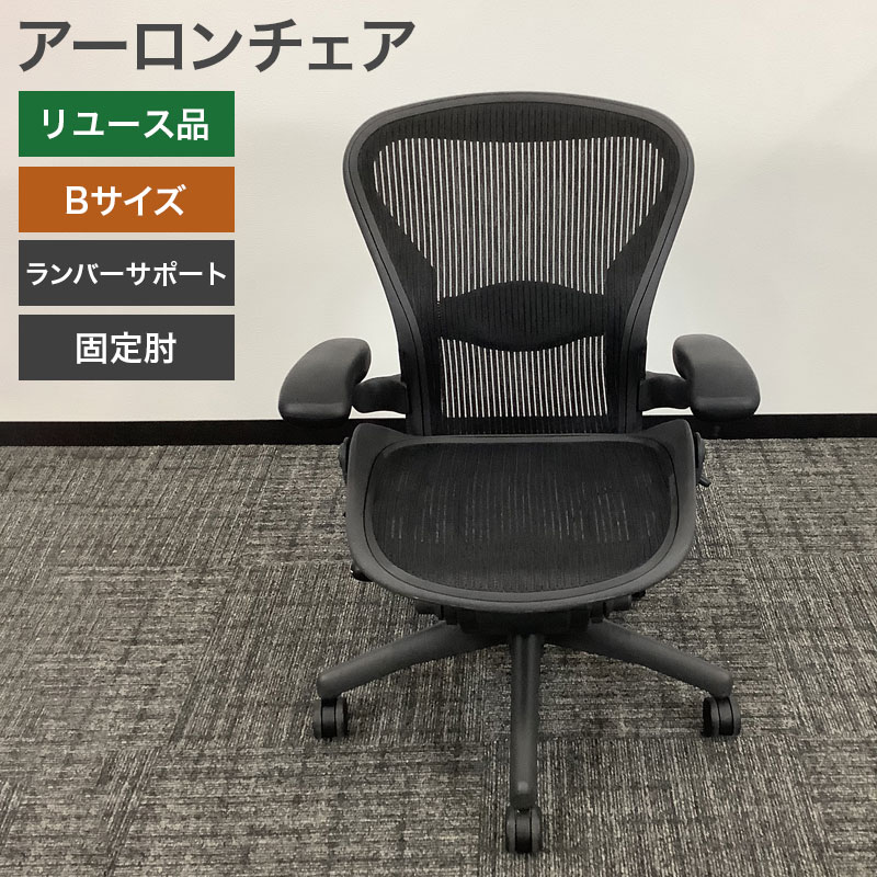 中古 アーロンチェア Bタイプ ランバーサポート 固定肘 地域限定送料 