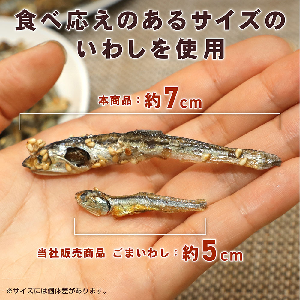 レビューでクーポンGET】ごまいわし 大サイズ 250g 国産 煮干し 小魚 おやつ おつまみ お菓子 味楽堂 :md0011-1:味楽堂 - 通販  - Yahoo!ショッピング