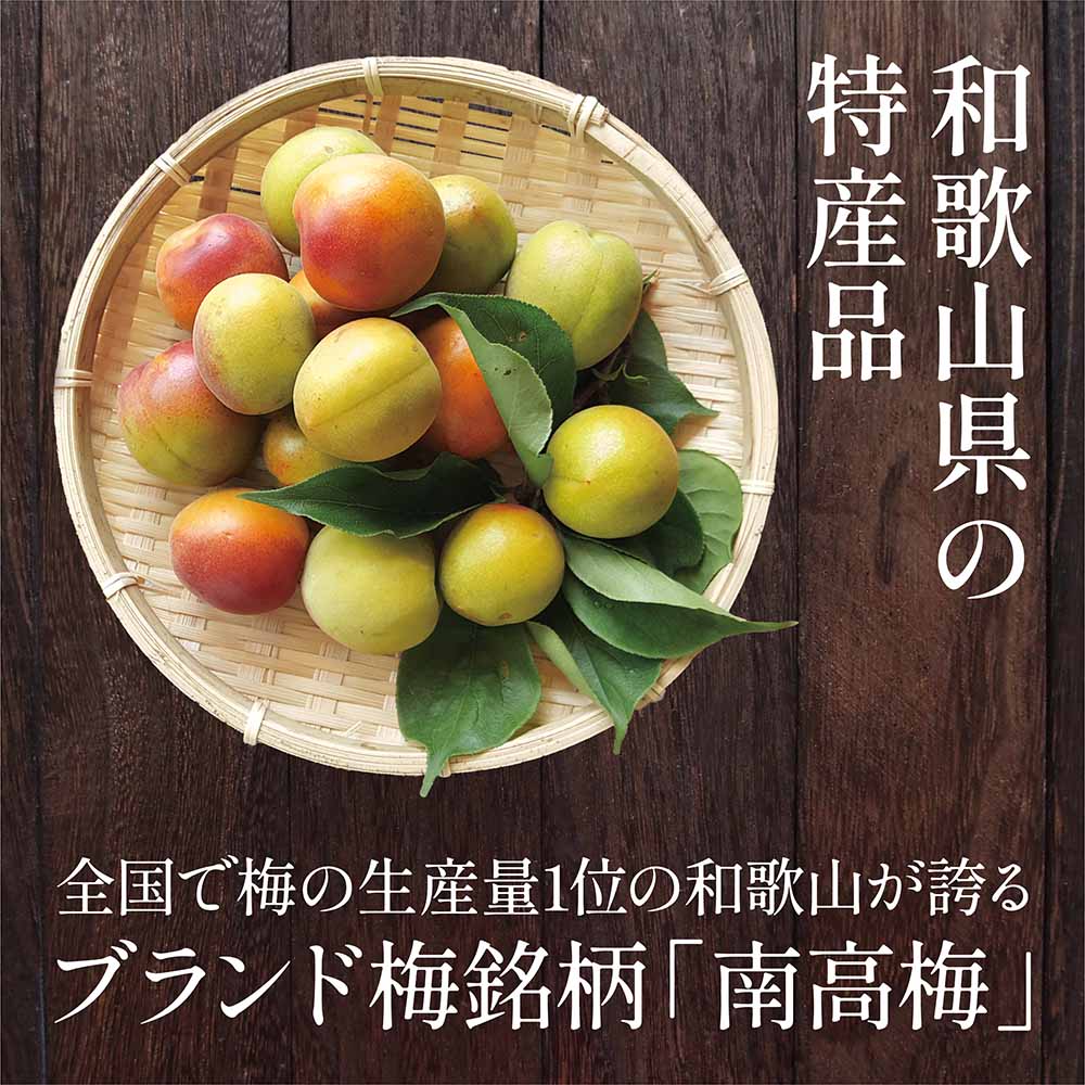梅干し 白干し梅 紀州南高梅 無添加 1kg 大粒 訳あり品 つぶれ梅