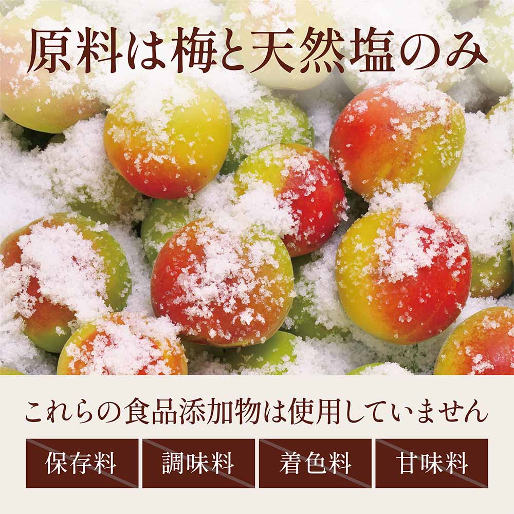 無添加つぶれ梅10kg 白干し梅 うめ海鮮 白干し梅 つぶれ梅をレビュー！クチコミ・評判をもとに