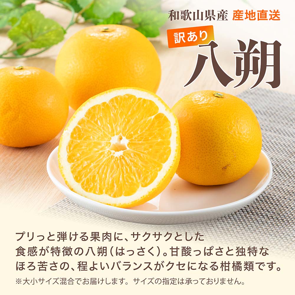 八朔のおすすめ人気商品一覧 通販 - Yahoo!ショッピング