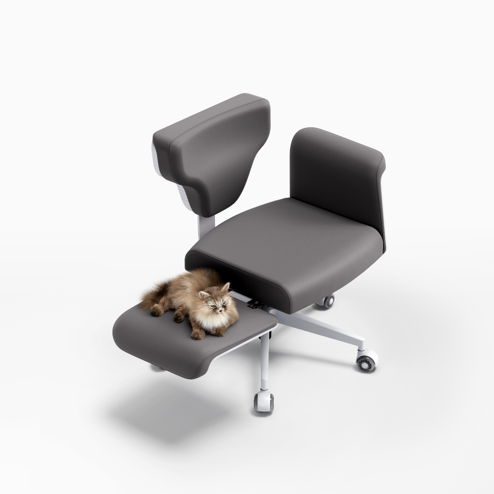 自由に使える万能チェア デスクチェア オフィスチェア ソファ