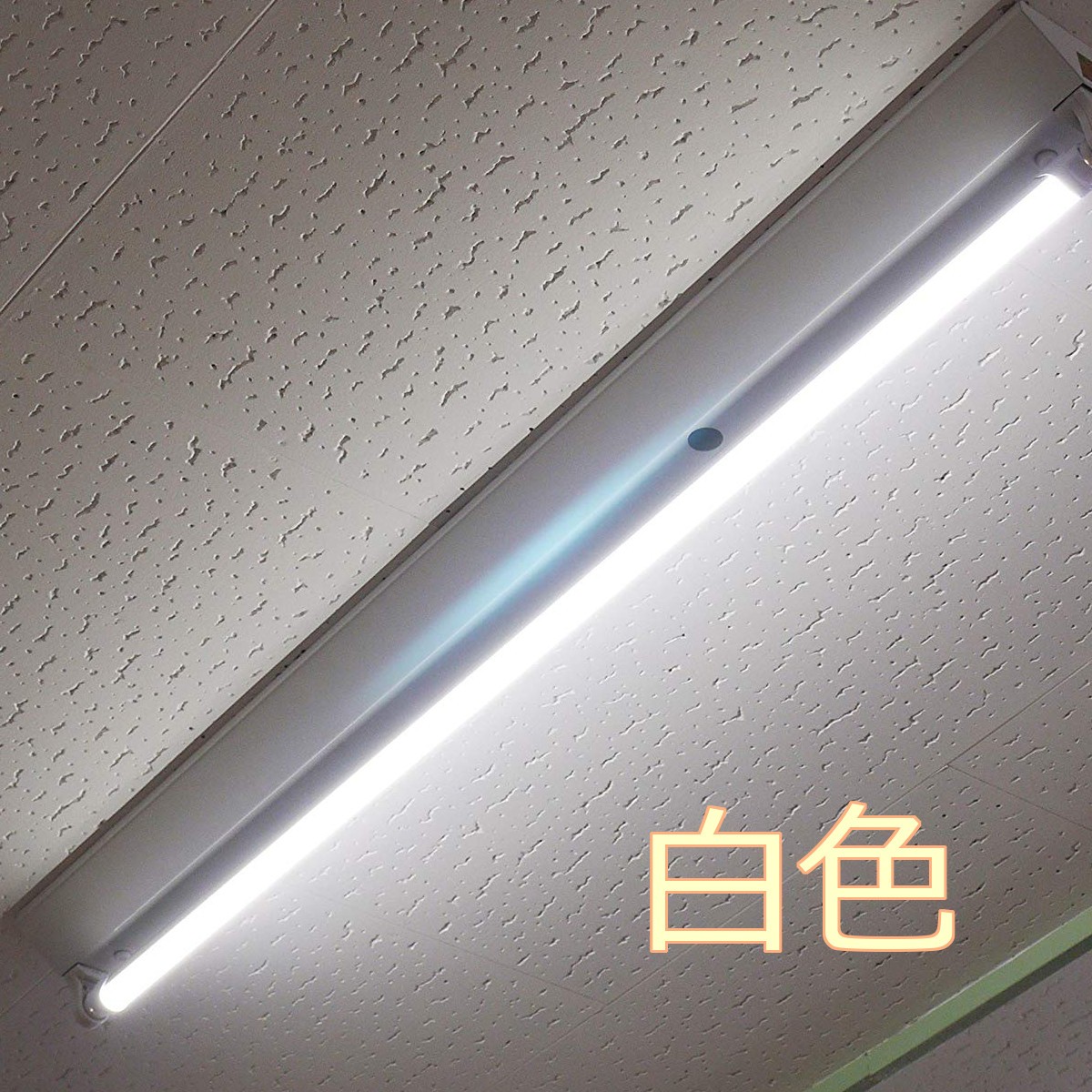 120cm3色