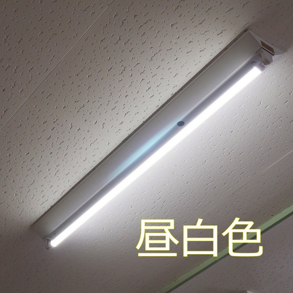 120cm3色