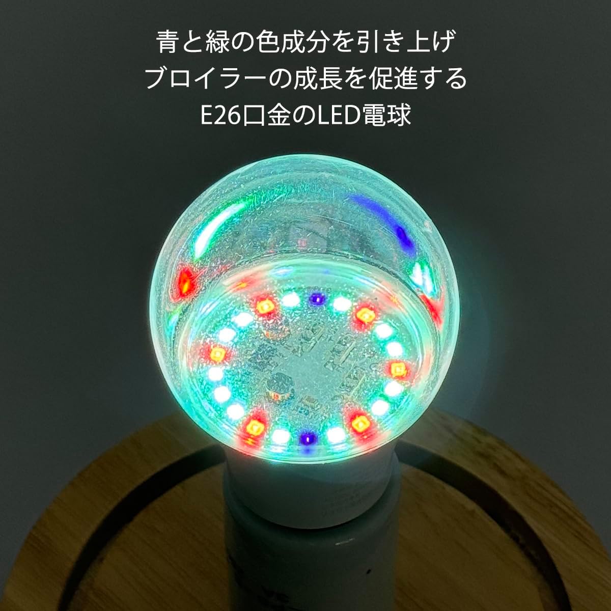楽天市場】ソケット ダウンライト アダプター e26の通販