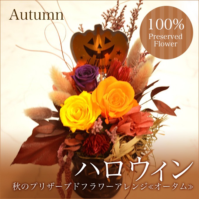 ハロウィン プリザーブドフラワー ギフト アレンジ Autumn 送料無料 秋 野草 誕生日 ブリザーブド 還暦 お祝い 結婚祝 ギフト 引越祝い  和風 敬老の日 : 10000674 : Reve ヤフーShop - 通販 - Yahoo!ショッピング