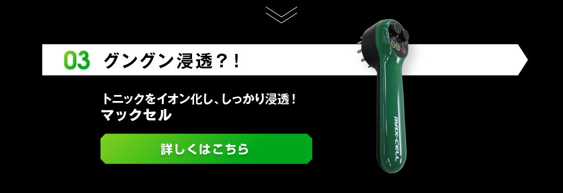 マックセル 頭皮マッサージ EMS 頭皮ブラシ 頭皮 マッサージ器 男性