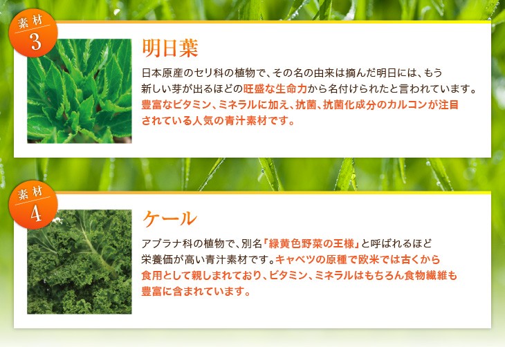 リーブ21 発毛専門リーブ21 青汁 活緑素《粉末タイプ》(300g リーブ21 発毛専門リーブ21 青汁 活緑素《粉末タイプ》(300g