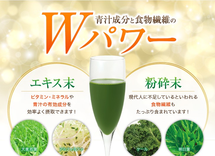 活緑素・リーブ21 青汁スティック　＜2袋セット売り＞ リーブ21 青汁 活緑素 スティックタイプ(3g×90包) 健康食品 大麦