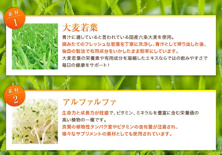 リーブ21 活緑素（青汁）3袋（270スティック） リーブ21 青汁 活緑素 スティックタイプ(3g×90包) 健康食品 大麦