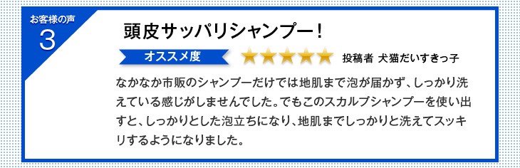 育毛シャンプー 男性 女性 シャンプー メンズ レディース 育毛 発毛 皮脂 200ml 250g アクティシャンプーR スカルプシャンプー リーブ21  品数豊富！