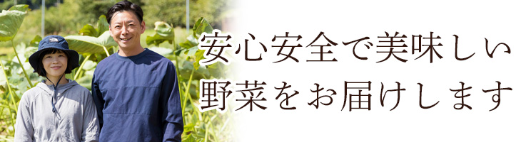 安心安全