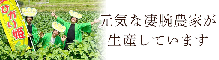 元気な凄腕農家